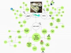 Screenshot depicting an example of a mind mapping assignment completed on Miro.