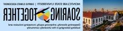 Montclair State University Campus Climate Assessment Soaring Together - Deepening diversity, enhancing equity, increasing inclusion and building belonging in the University community.